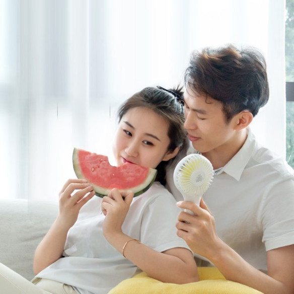 Baseus Bingo fan EOL