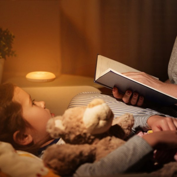 Baseus Light Garden Series EOL