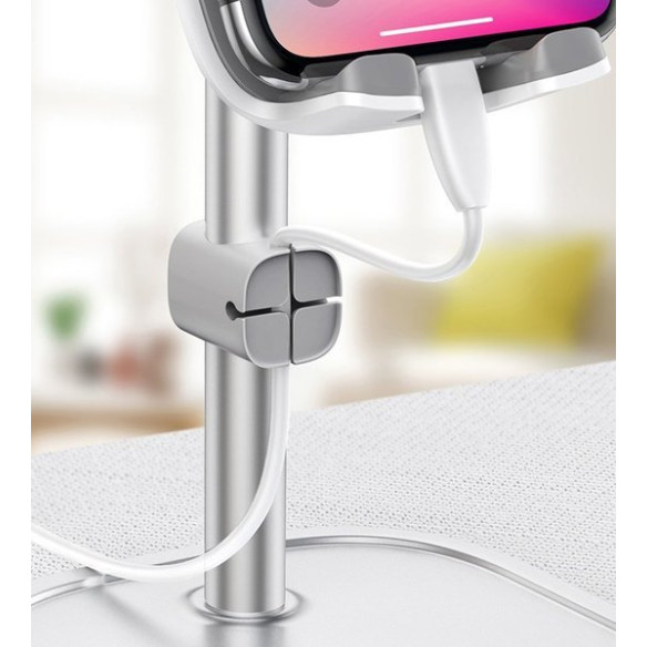 Baseus Literary Youth Desktop EOL