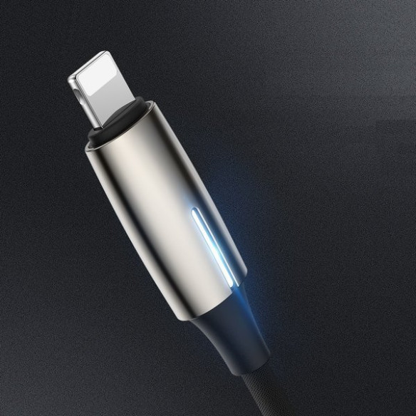 Baseus Adapter L55 EOL