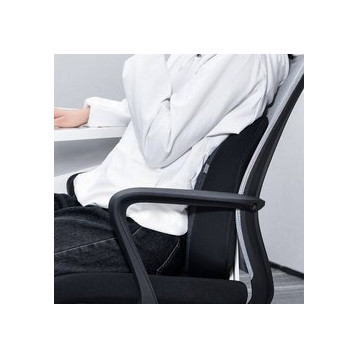 Floating Car Waist Pillow EOL