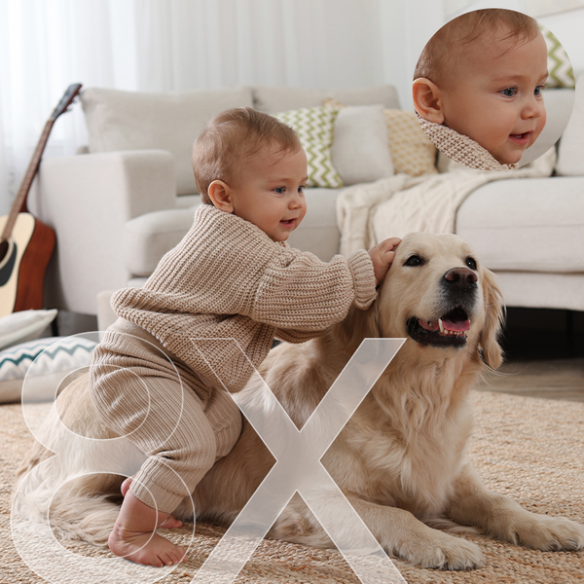 Baseus Security P1 Lite | Kamera IP WiFi Wewnętrzna, kamerka, monitoring, 2K, Aplikacja