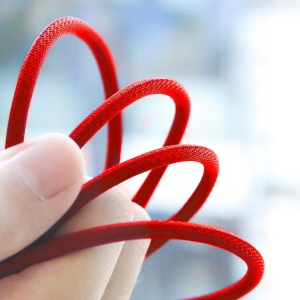 Baseus Artistic  EOL