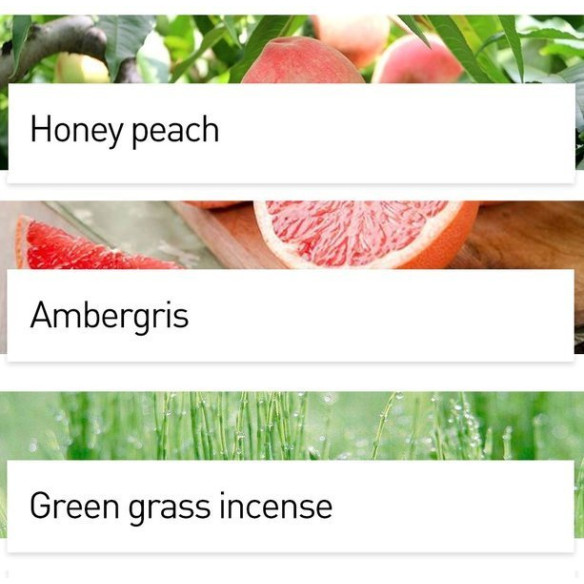 Baseus Little Volcano  EOL